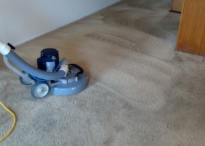 best rotary carpet cleaning machine