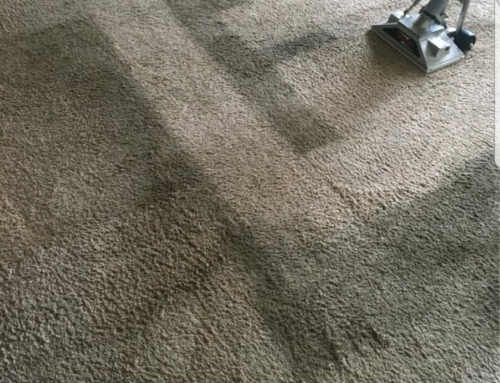 residential carpet cleaning images